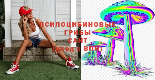 спайс Белокуриха