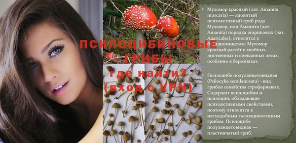 твердый Беломорск